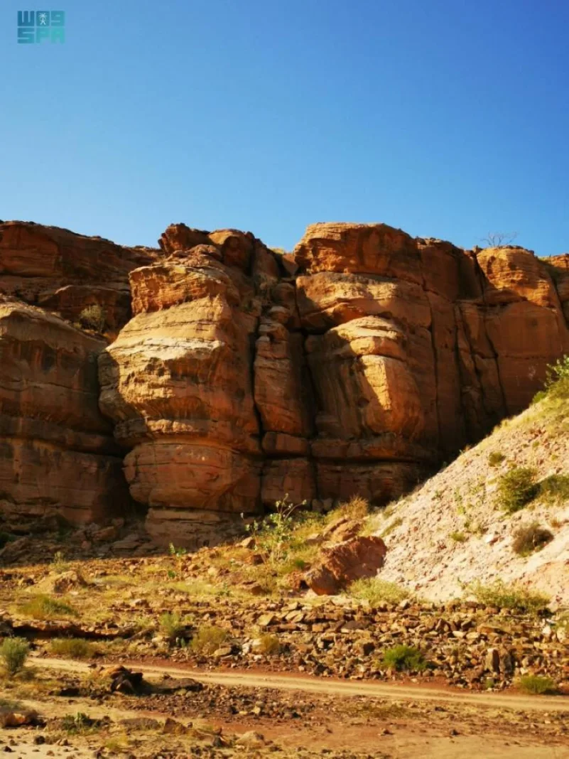 نقره لعرض الصورة في صفحة مستقلة