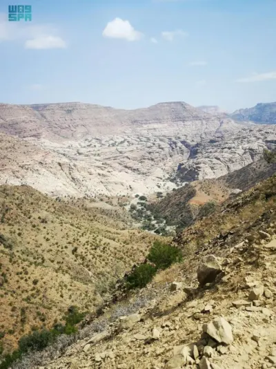 نقره لعرض الصورة في صفحة مستقلة