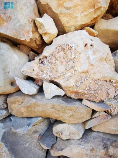 نقره لعرض الصورة في صفحة مستقلة