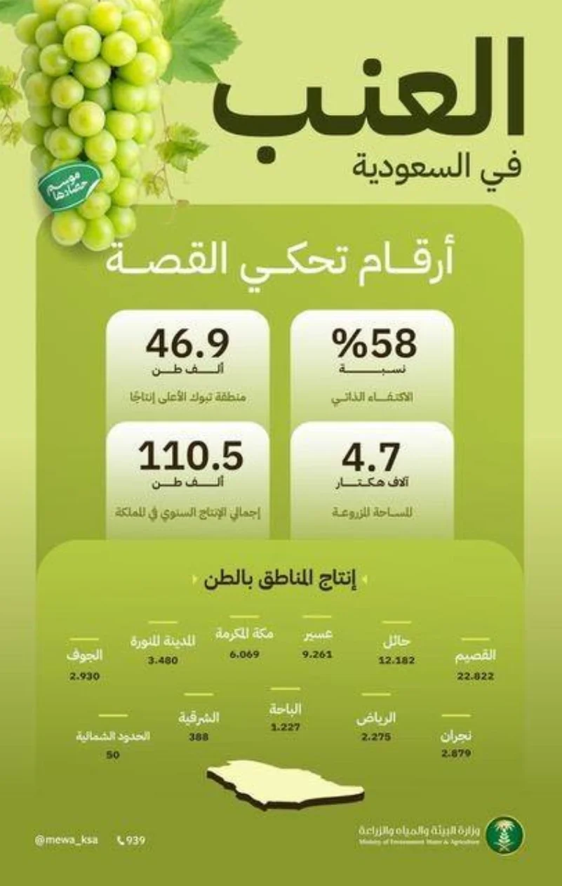 "وزارة البيئة": 110.5 آلاف طن إنتاج المملكة من فاكهة العنب سنويًا
