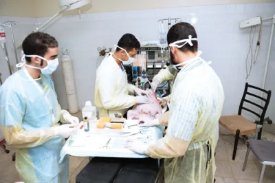 15 طبيبًا سعوديًّا يتدربون على المهارات الجراحية المتقدمة