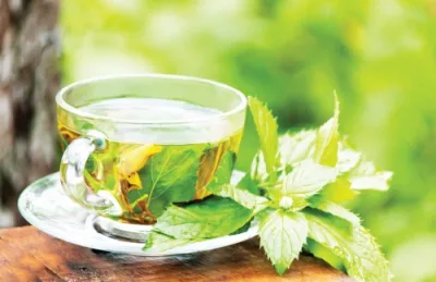 الشاي الأخضر ينظم السكر