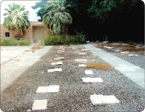 مقبرة الخواجات بجدة.. يزورها الدبلوماسيون ويشرف عليها ثلاث سفارات