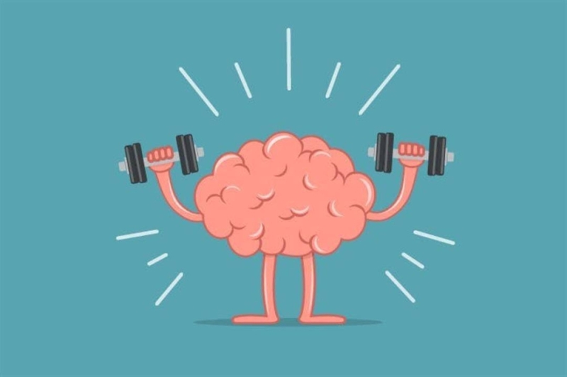 تقوي الذاكرة وتساعد العقل في العمل بأقصى كفاءة .. هذه أفضل 6 أطعمة لصحة الدماغ