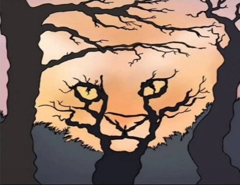 هل رأيت النمر أم الأشجار أولا.. صورة تكشف أسرار شخصيتك وكيف تتخذ قراراتك!