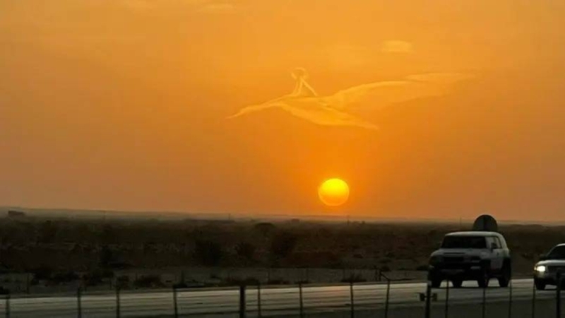"طفل" يمتطي طيرا ضخما ويطل على الرياض ..شاهد :  سر "الصورة" التي أثارت الجدل بين المواطنين !