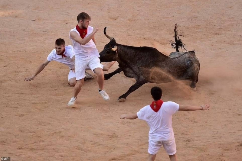"أشخاص يتطايرون في الهواء".. شاهد.. سباق عنيف بين المتصارعين والثيران في مهرجان بامبلونا الإسباني