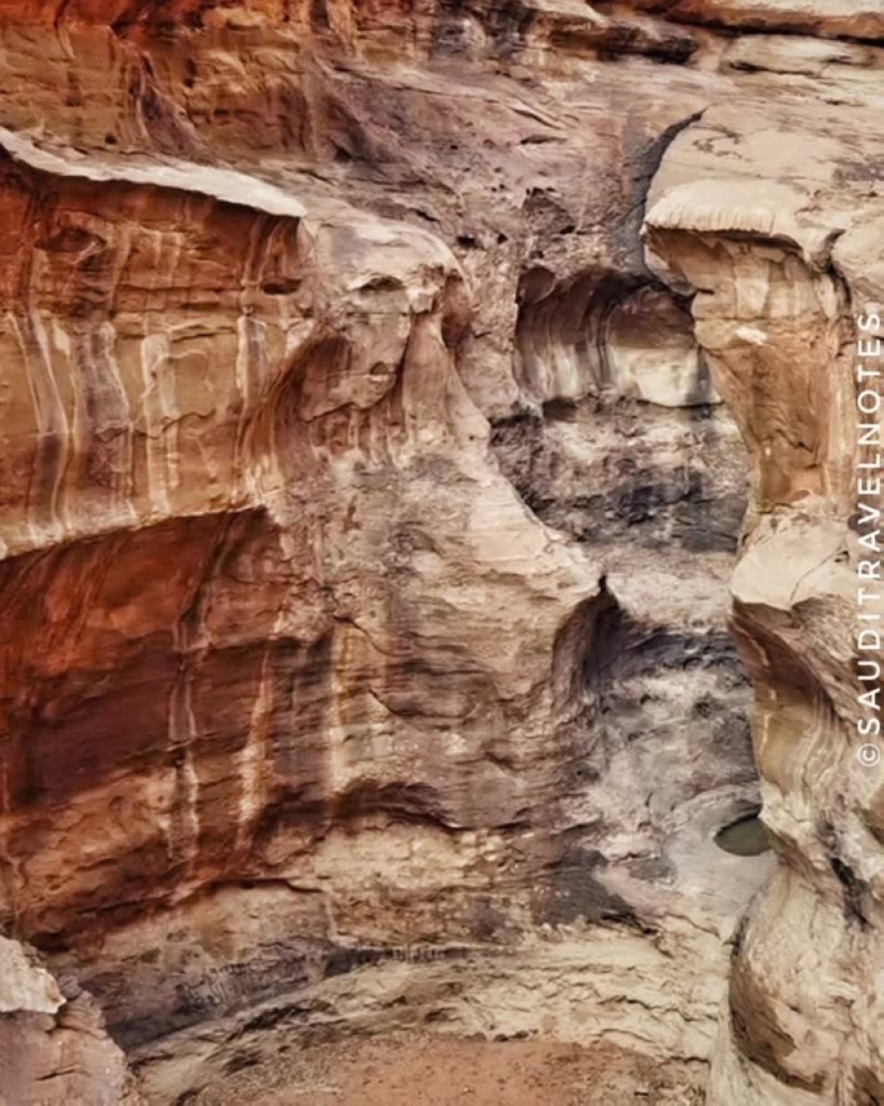 بالصور .. مدونة بريطانية تكتشف بركة مخفية في صحراء نيوم عن طريق الصدفة .. وهذا أهم ما يميز مياهها
