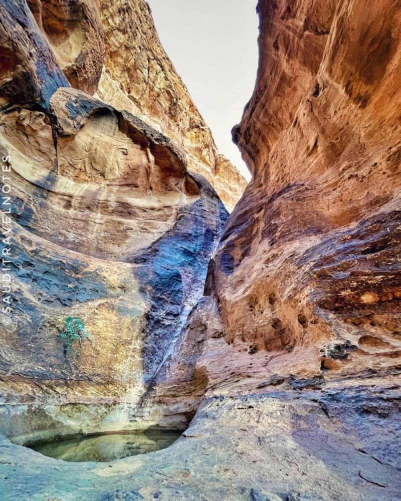 بالصور .. مدونة بريطانية تكتشف بركة مخفية في صحراء نيوم عن طريق الصدفة .. وهذا أهم ما يميز مياهها