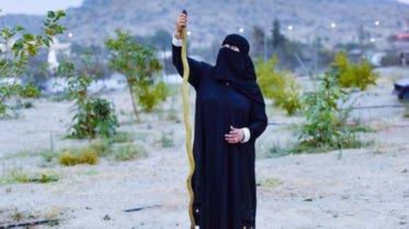 "لا أخشى الثعابين" .. فتاة سعودية تحكي تجربتها في التعامل مع "الكوبرا العربية".. وتنصح بهذا الأمر (فيديو)