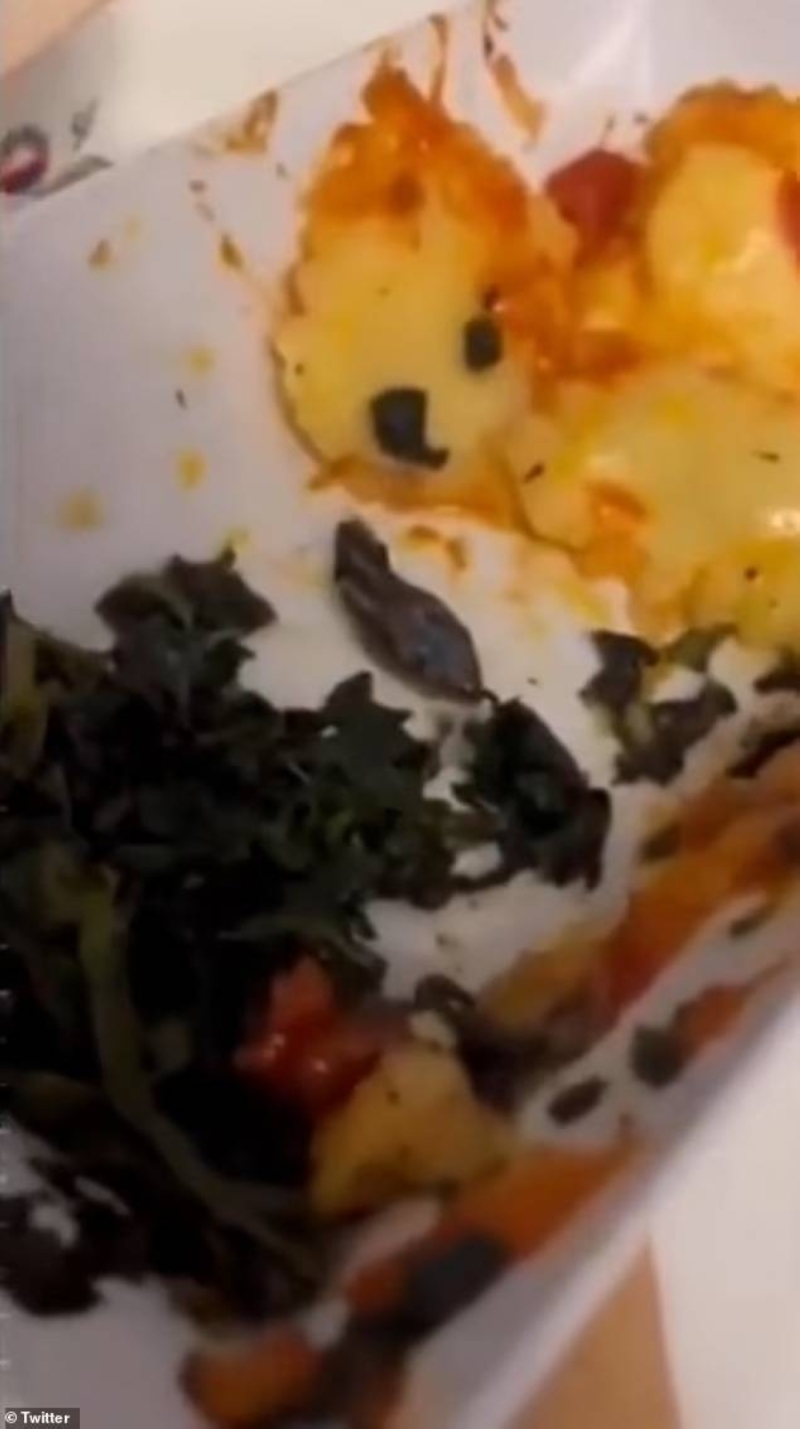 شاهد : راكب يتناول الطعام على متن طائرة في تركيا .. وبعد الانتهاء  يتفاجأ بما رآه في الطبق!