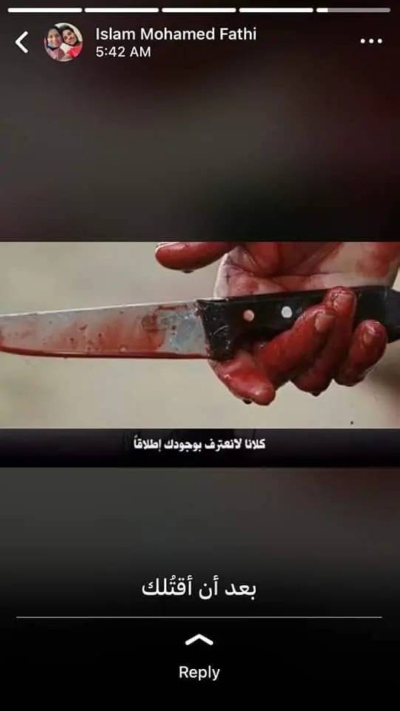 على طريقة نيرة أشرف.. مقتل طالبة على يد زميلها ب 17 طعنة في مصر - صور