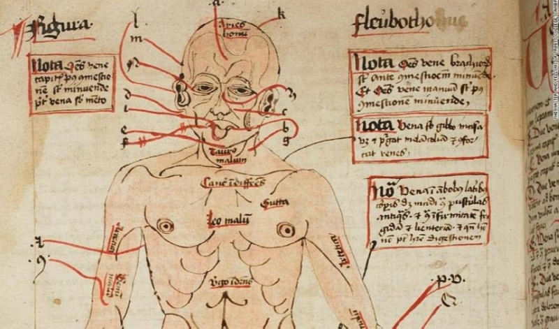 منها النقرس.. العثور على مخطوطة لوصفات علاجية "غريبة" قبل ألف عام