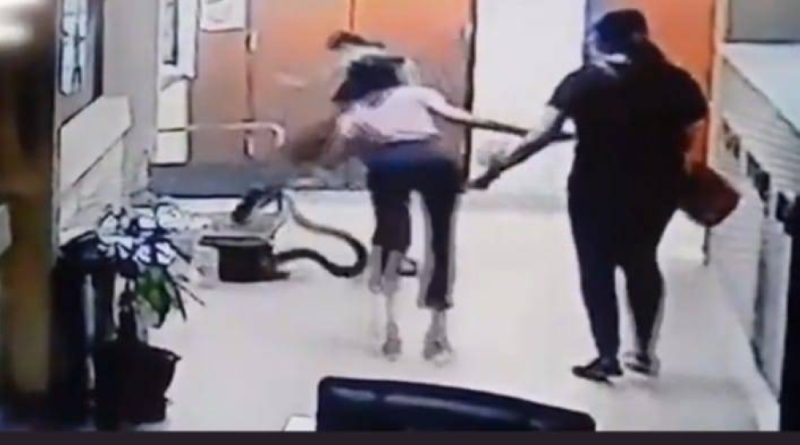 شاهد : ثعبان ضخم يقفز فوق امرأة في تايلاند ويغرس أنيابه في قدمها 