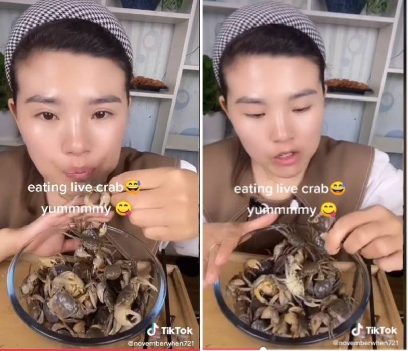صدمت متابعيها.. شاهد: فتاة صينية تأكل "سرطان البحر" الحي وتقرمشه بقشرته الصلبة