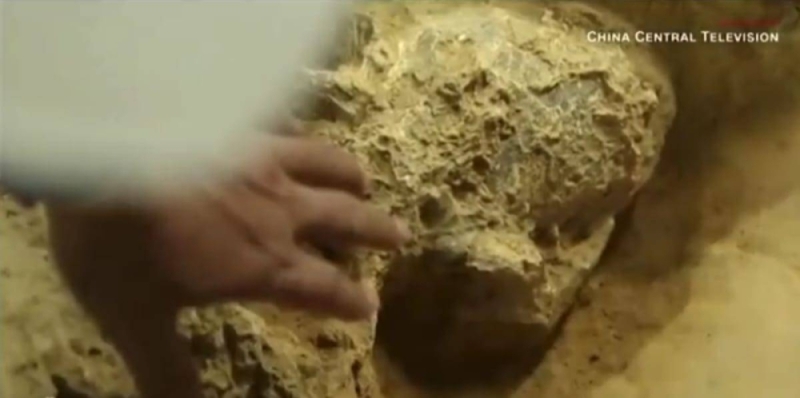 شاهد.. العثور على "جمجمة إنسان" عاش قبل مليون عام يحلّ لغز الحلقة المفقودة في تطوّر  الكائن البشري !