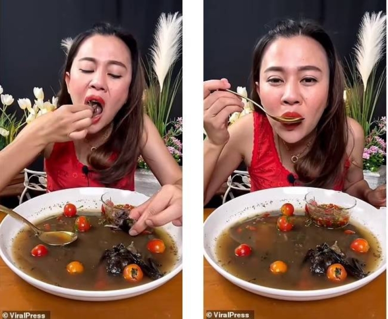 شاهد .. مدونة تايلاندية تأكل خفاشاً كاملاً في بث مباشر