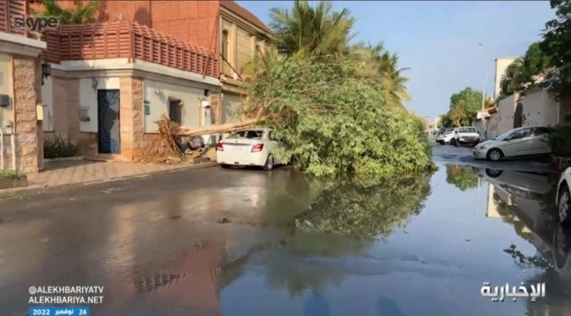 شاهد.. سقوط الأشجار فوق السيارات في حي المحمدية بجدة بسبب الأمطار الغزيرة