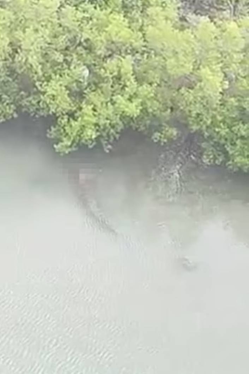 شاهد: تمساح يخطف طفلاً في نهر بماليزيا ويلتهمه أمام والده