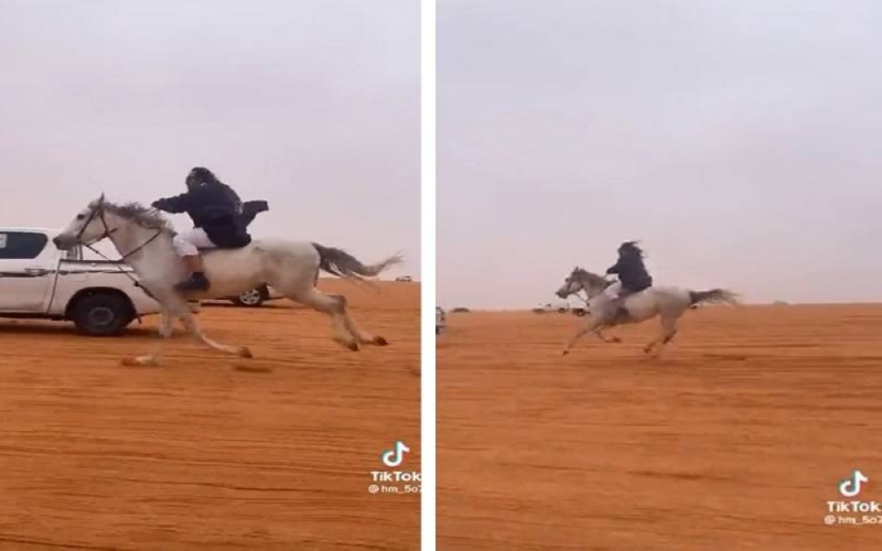 بعدما لفت الأنظار في "الصياهد".. شاهد: فيديو جديد للفارس يمتطي الحصان وهو يركض بسرعة هائلة