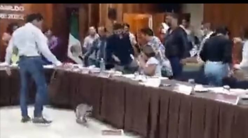 شاهد: ردة فعل سياسيون بالمكسيك بعدما سقط عليهم حيوان "الراكون" فجأة من السقف