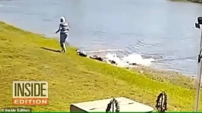 شاهد: تمساح يهاجم امرأة مسنة قبل لحظات من شدها والتهامها وسط البحيرة