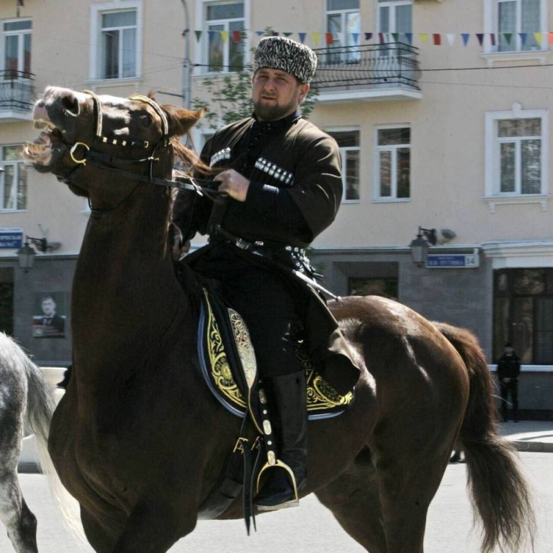 الرئيس الشيشاني يكشف عن سعر حصانه  المسروق .. ويعلق: عندما يعلم اللصوص عن ثمنه سيهتمون به جيدا