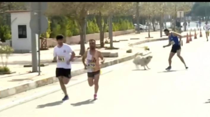 فيديو طريف .. شاهد : كلب يلاحق المتسابقين في ماراثون الحرية  بالعراق