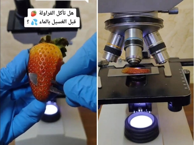 لن تصدق ما رآه طبيب لبناني بعد وضع شريحة من الفراولة قبل غسلها تحت المجهر - فيديو