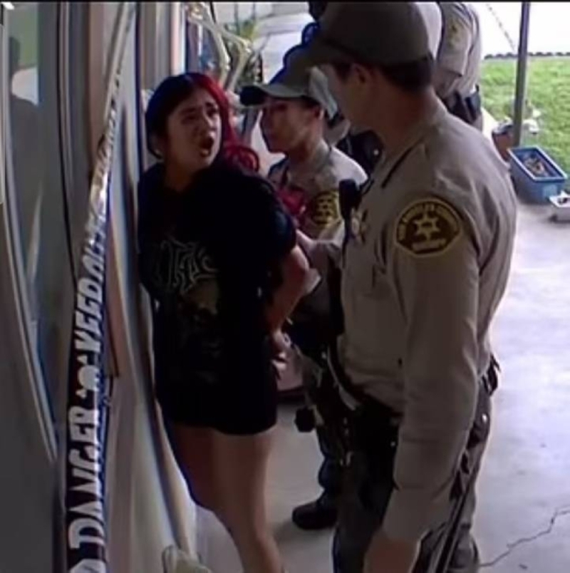 شاهد.. عناصر من الشرطة الأمريكية يعتدون على مراهقة وشقيقها أثناء اعتقالهما في كاليفورنيا