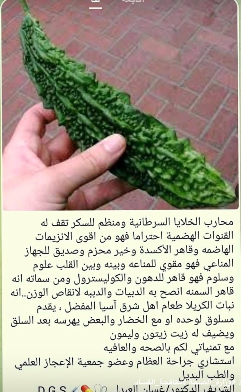 طبيب سعودي  يكشف عن نبات محارب للخلايا السرطانية  ومنظم للسكر وينقص الوزن