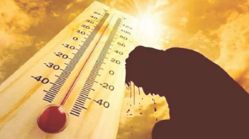 علماء يكشفون عن توقعات صادمة بشأن درجات الحرارة خلال الخمس السنوات القادمة