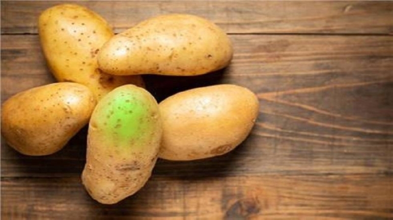 خبراء يكشفون سر ظهور البقع الخضراء على البطاطس ويحذرون  من تناولها