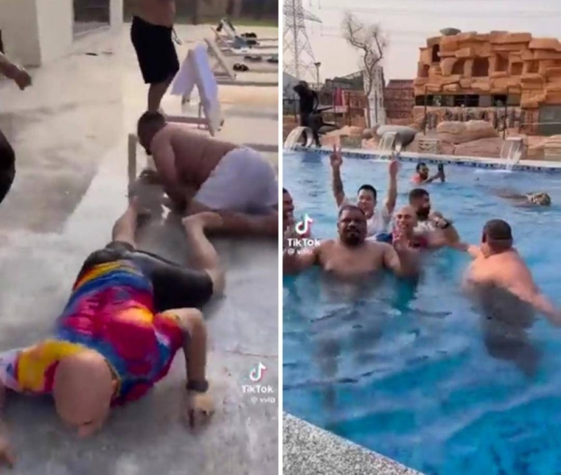 فيديو طريف لشاب  يفاجئ أصدقاءه بانزال نمر معهم في المسبح.. شاهد.. ردة فعلهم المثيرة للضحك