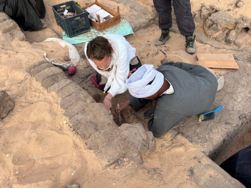 شاهد: العثور على جرار نبيذ معتق منذ 5000 عام داخل مقبرة الملكة مريت نيث في سوهاج  بمصر