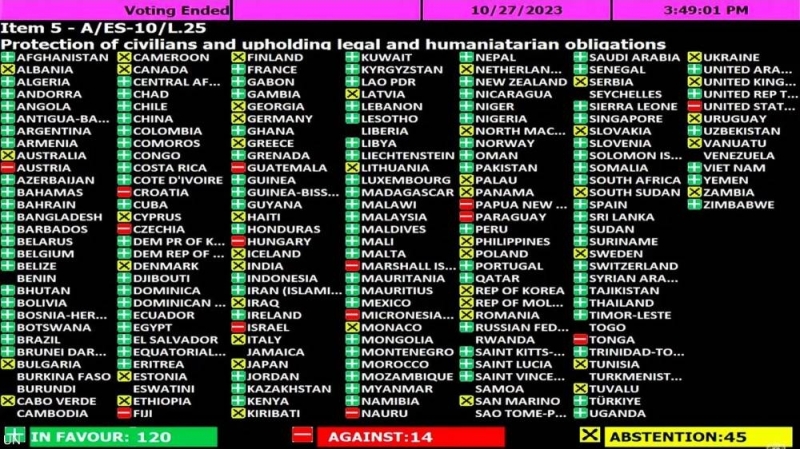 تعرف على 14 دولة صوتت ضد قرار الأمم المتحدة ورفضت وقف إطلاق النار في غزة