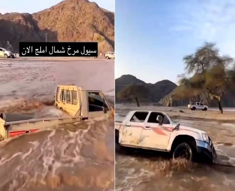 شاهد.. السيول تجرف سيارة جيب "شاص" وأخرى ونيت "هايلوكس " وتغمرها بالمياه شمال محافظة أملج