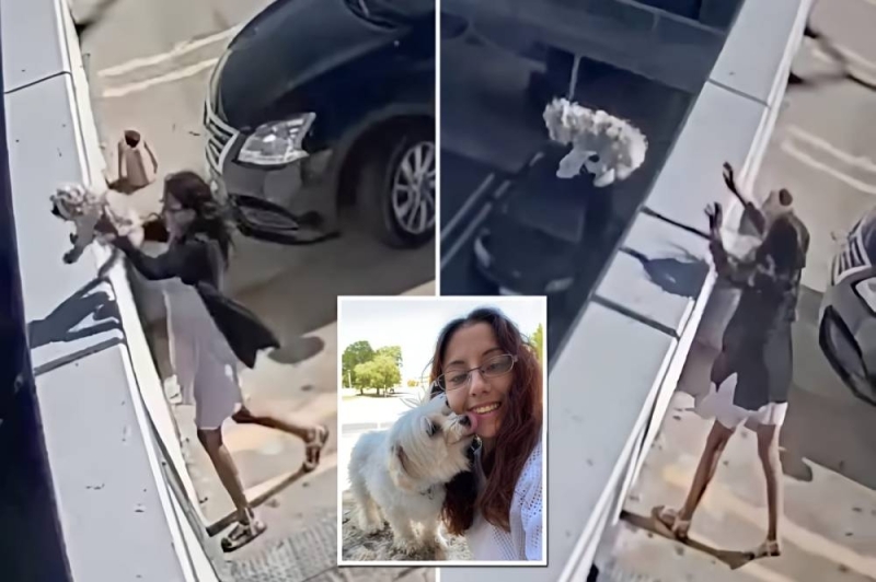 شاهد..فتاة تلقي كلبها الصغير من أعلى مبنى لموقف سيارات في أستراليا