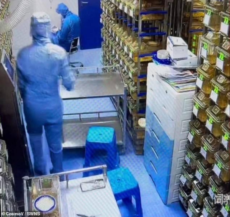 شاهد: عاملة تبحث عن فأرة تجارب هربت منها داخل مختبر للفيروسات في الصين.. ومكان اختبائها مفاجأة غير متوقعة
