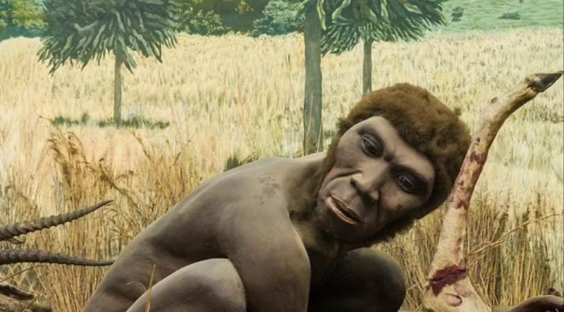 حل لغز فجوة عمرها 20 ألف عام.. "علماء" يكشفون أين عاش البشر الأوائل بعد الخروج من إفريقيا