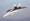 «إف - 18 سوبر هورنيت»