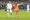 الهولندي جورجينيو فينالدوم مسجلاً هدفه في مرمى فرنسا              	                                    (رويترز)