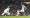 غابريال جيزوس مسجلاً الهدف الأول في مرمى وولفرهامبتون                                         	          (رويترز) 