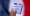 فرنسيو الخارج يدلون بأصواتهم عبر الانترنت في الانتخابات التشريعية  