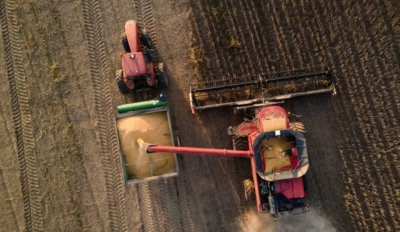 القيود الأوروبية قد تبدأ بمحاصيل الصويا الأميركية