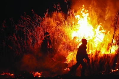 رجال إطفاء يحاولون إخماد حريق غابات في ترانكوسو بالبرتغال