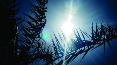 صورة أرشيفية لشمس الظهيرة (تصوير أسعد عبدالله)