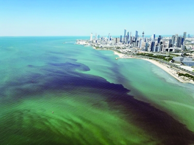 جانب من تلوث الشواطئ بالزيت