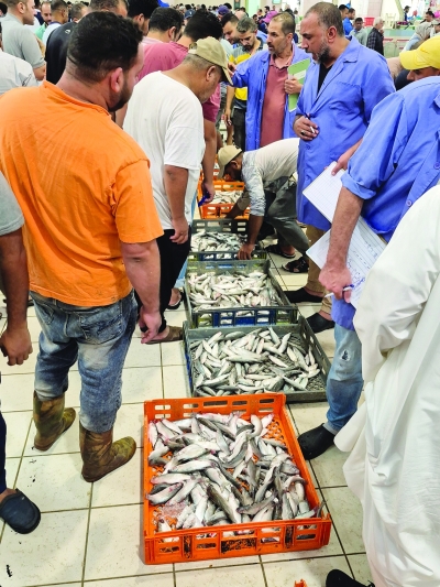 بواكير الميد في سوق السمك اليوم (تصوير نايف العقلة)