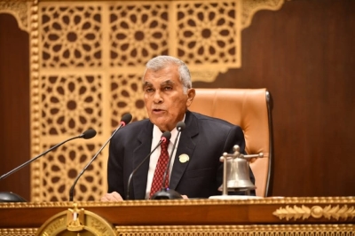 عصام الدين فريد